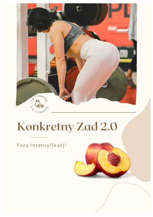 Konkretny Zad 2.0