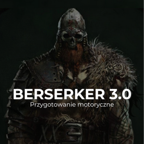 Berserker 3.0