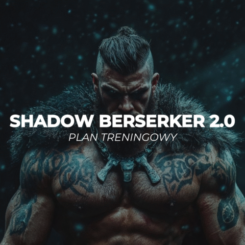 Shadow Berserker 2.0