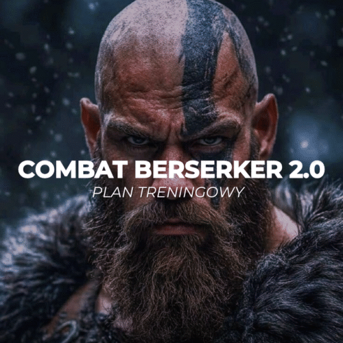 Combat Berserker 2.0
